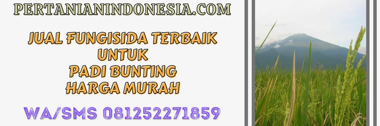 jual,fungisida,terbaik,murah,terjangkau,pertanian indonesia